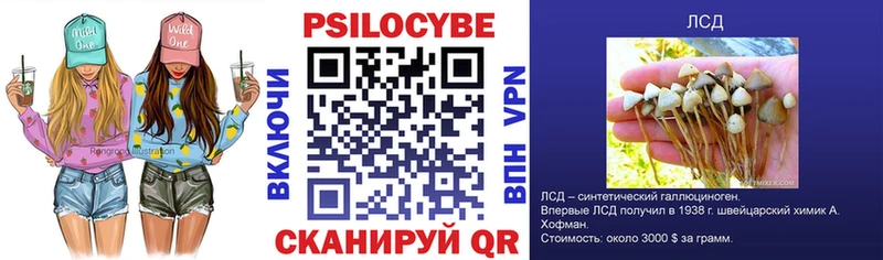Галлюциногенные грибы мицелий  Купить где  Осташков 